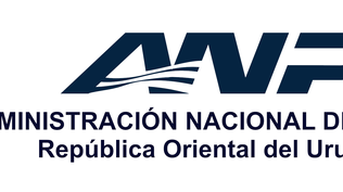 ANP: Llamado Público a integrar registro de aspirante