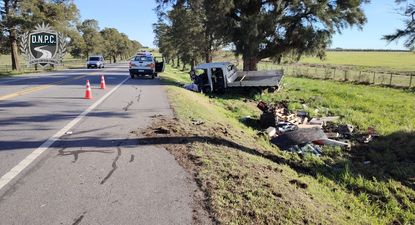 un camion despisto, choco contra un arbol y volco en ruta 3: cuatro hombres resultaron politraumatizados