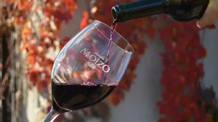 Aires innovadores para impulsar a las bodegas locales