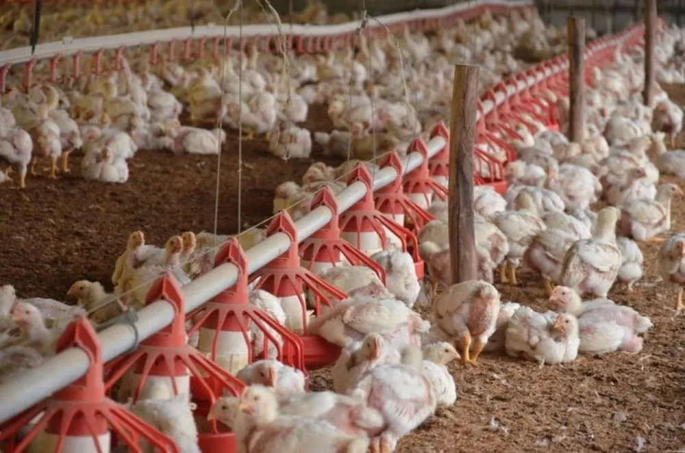 Façoneros reclaman soluciones para salir adelante, 