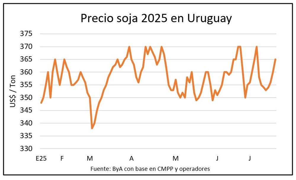 Granos con precios en ascenso.