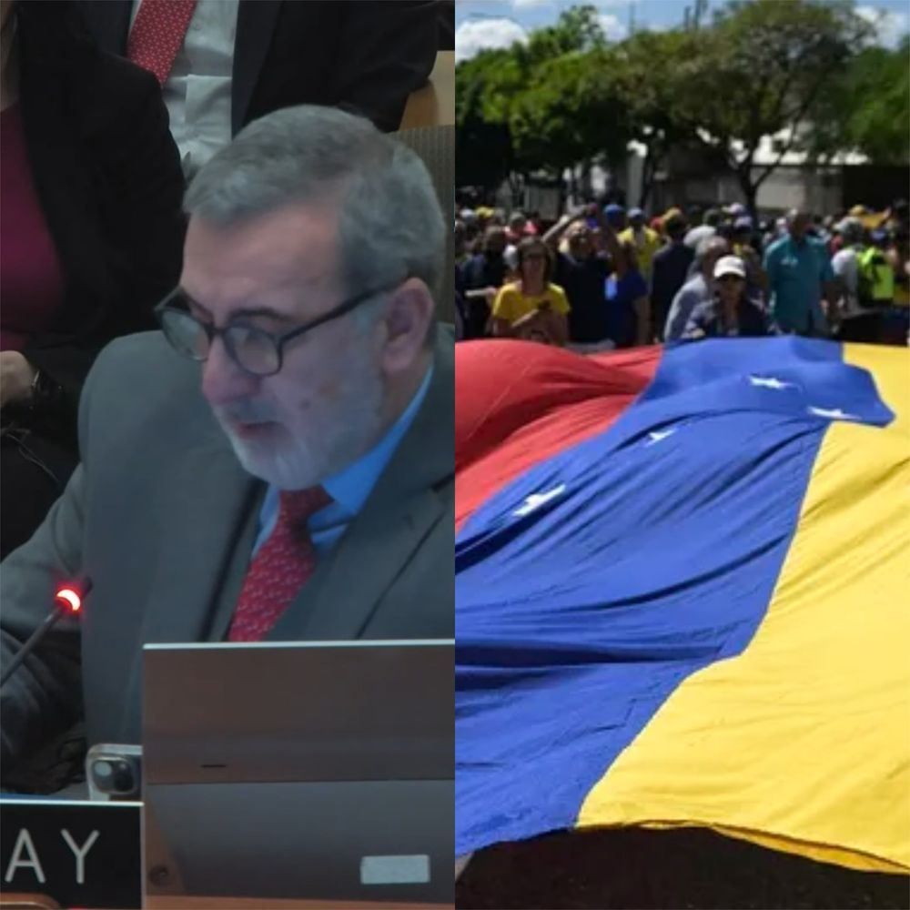 Edinson Lanza en una sesión de la OEA sobre Venezuela el 6 de enero