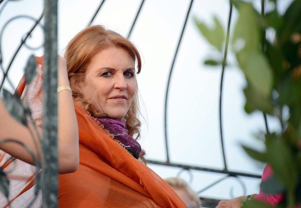 d1901db3-06d1-4b45-a25b-ba51ed7f4812_alta-libre-aspect-ratio_default_0_x1000y461