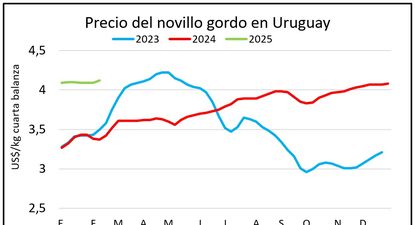 Ganado gordo en un momento de precios tonificados.