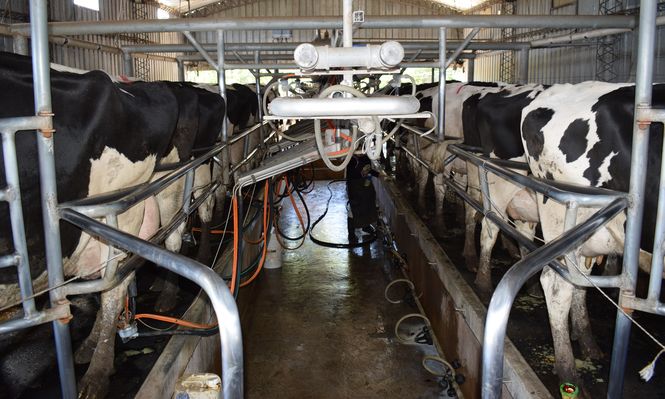 Tamberos: gremiales de productores del sector expusieron su molestia con una actitud del presidente Orsi.