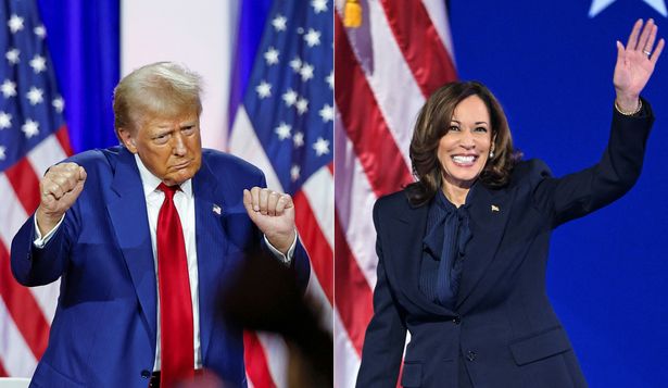 Donald Trump vs Kamala Harris: ¿qué anticipan las encuestas sobre los siete swing states que definirán la elección?