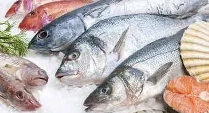 Para el Gobierno, a pesar de los pellets, es seguro comer pescado.