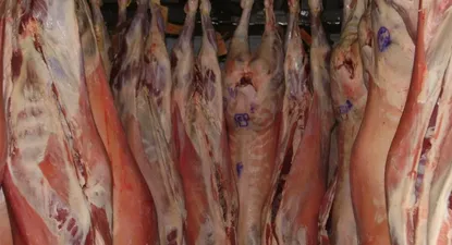 El Observador | Los ovinos siguen cotizándose