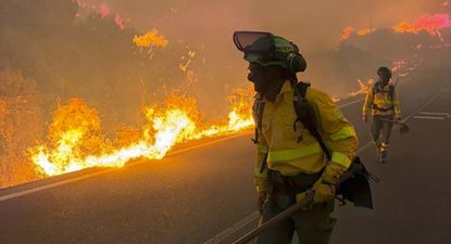 Bomberos trabajan en el incendio en el que doce personas han muerto en el municipio almeriense de Los Gallardos.