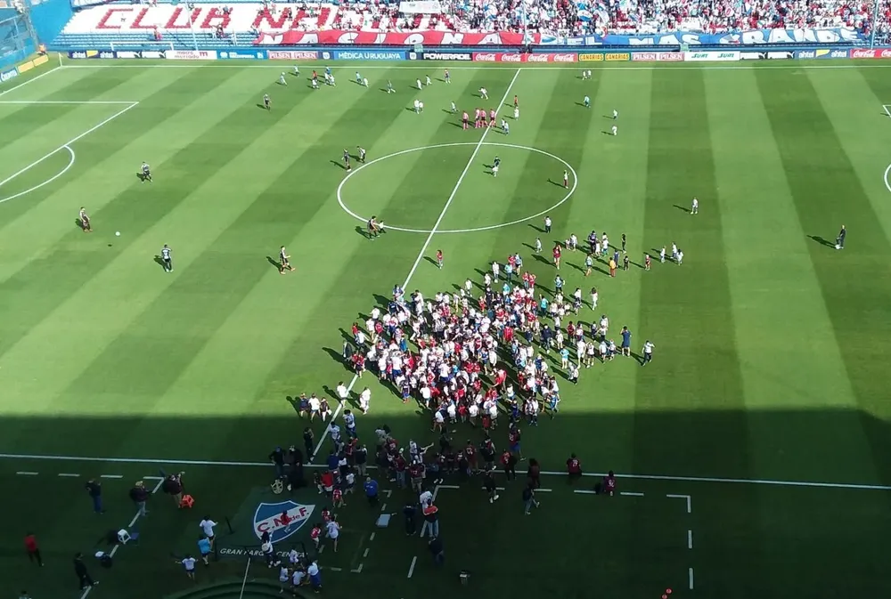 Las mascotas de Nacional