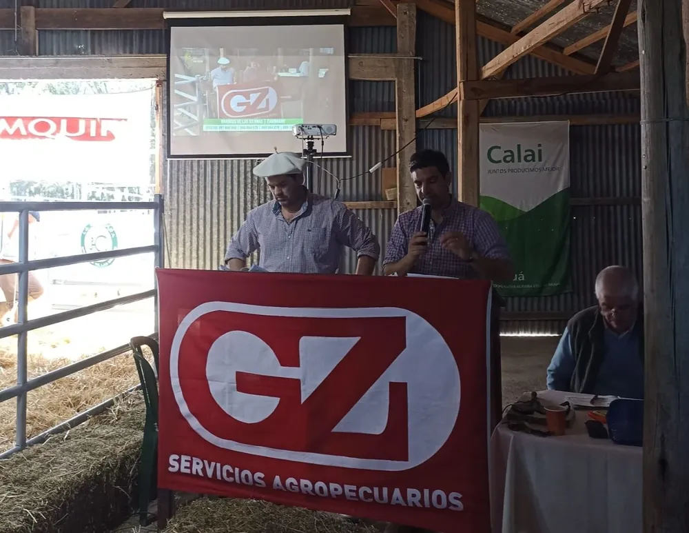 El remate Brangus de las sierras se hizo en Aiguá.