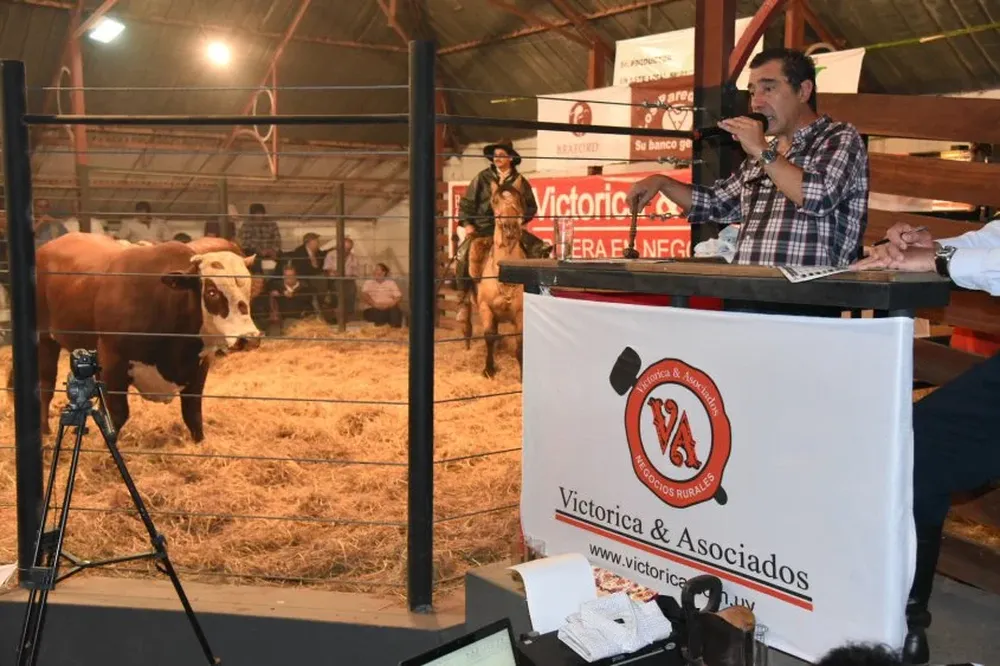 Remató Ignacio Victoria en el Local Chiflero.