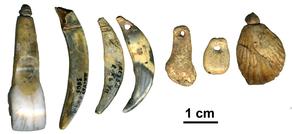 Colgantes tallados en dientes encontrados en la cueva de Renne (Francia)