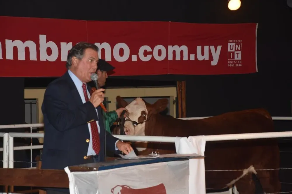 Remató Gerardo Zambrano