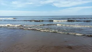 Así amaneció la playa de Punta Negra