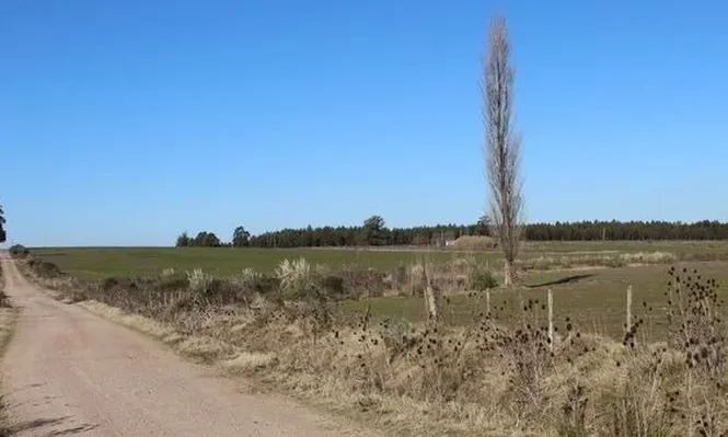 Rematan chacra en Canelones sin base