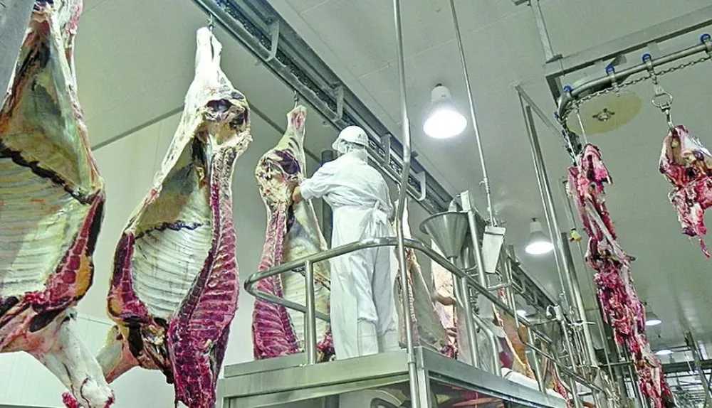 Las exportaciones siguen creciendo