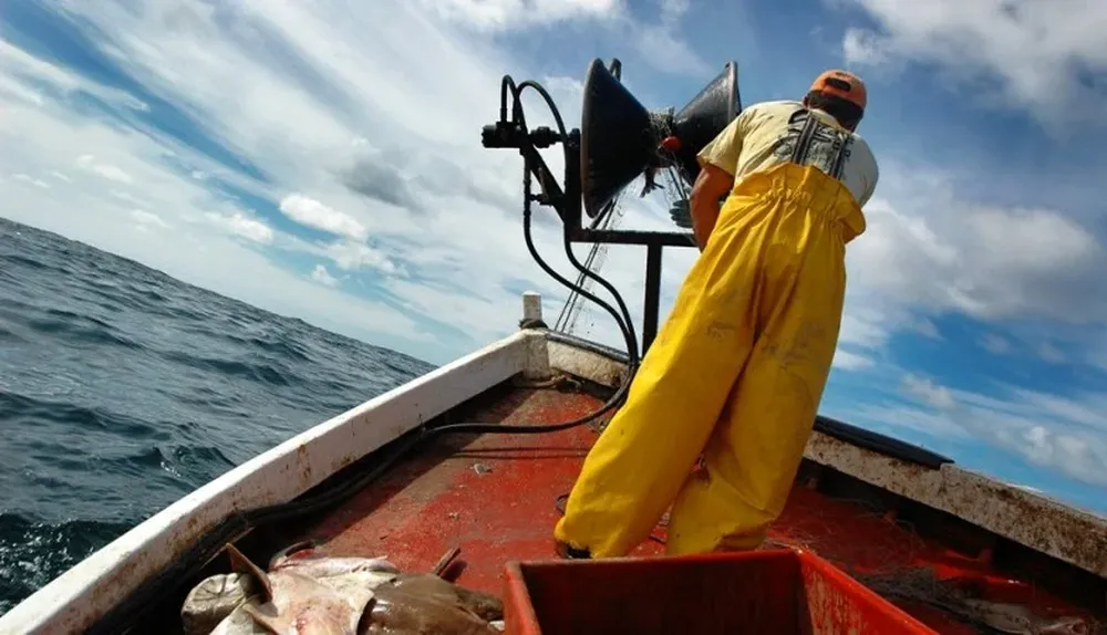 El sector pesquero incrementó sus exportaciones durante 2014