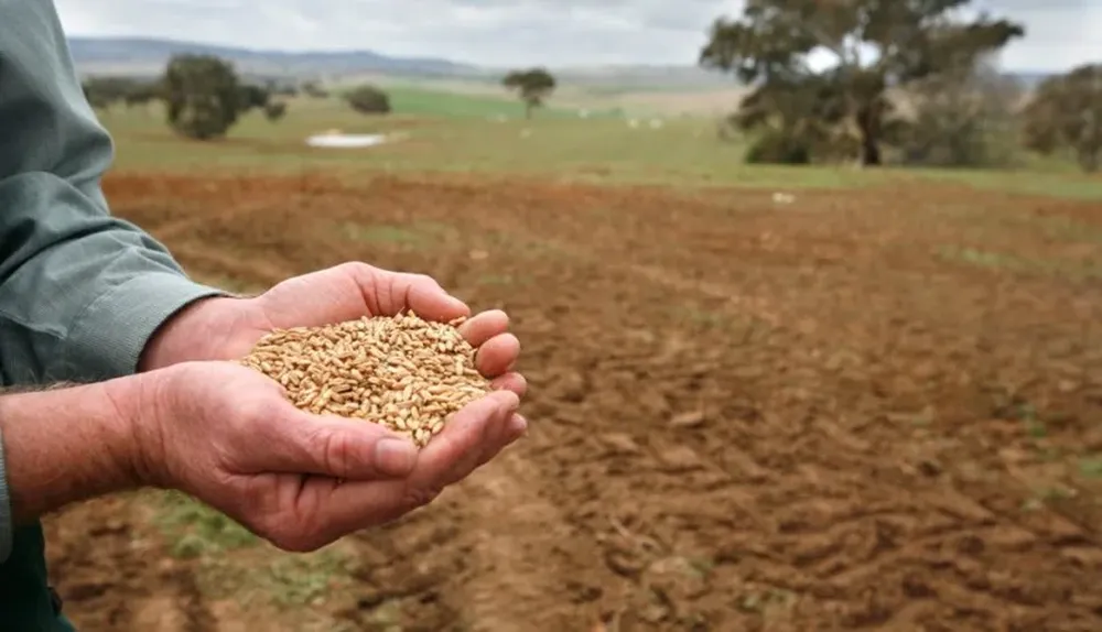 Los productores muestran problemas de liquidez