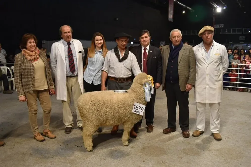 Los jurados uruguayos Bonino Morlán y Lugaro en la premiación de Gran Campeona Romney Marsh.