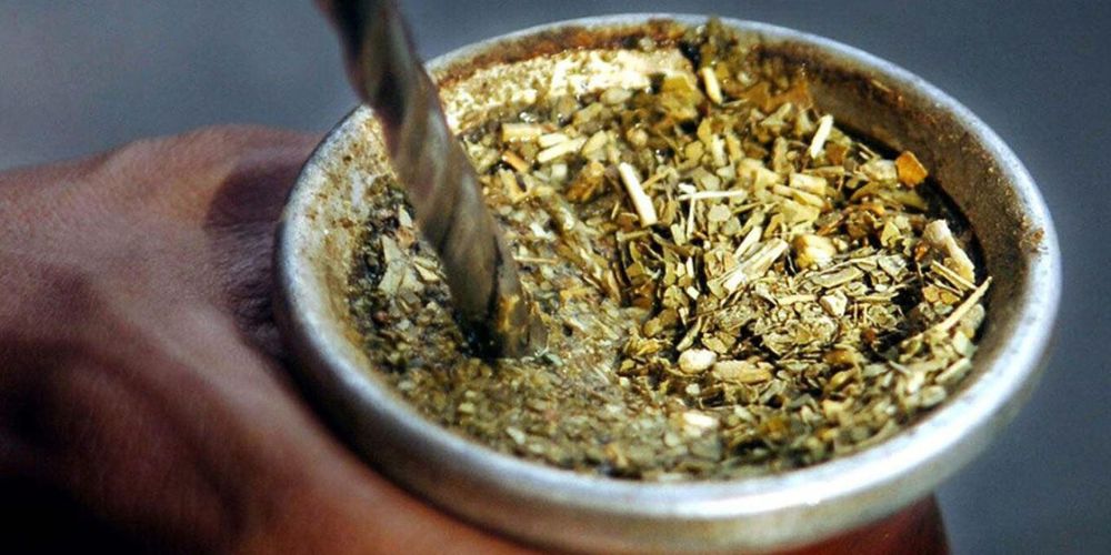 YERBA MATE