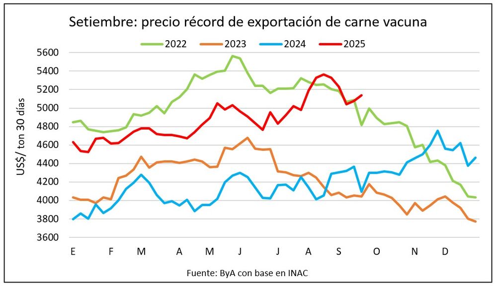 Novillos y carne vacuna exportada en niveles elevados.