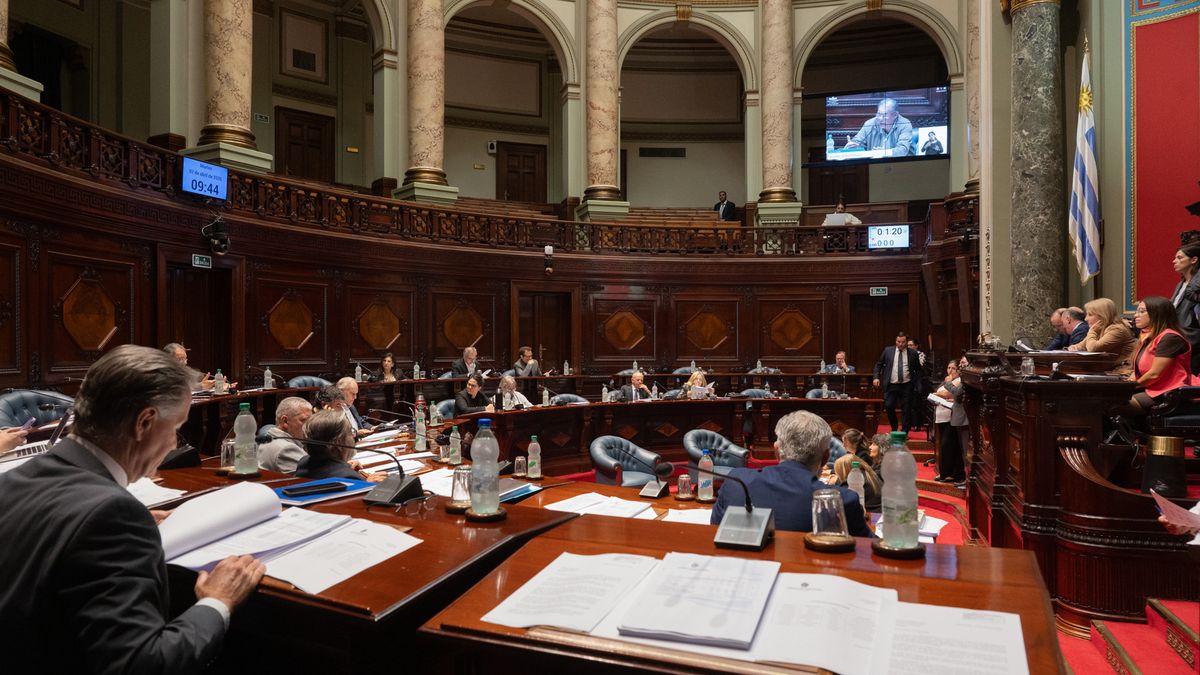 Duro debate en el Senado por ascenso de González: FA dijo que a la oposición le 