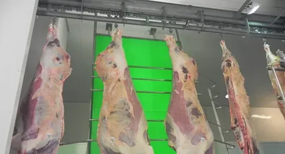 Faena vacuna llegará a dos millones de cabezas