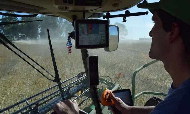 Donald Trump hace dudar a los agricultores uruguayos sobre cuánta colza sembrar en este invierno.