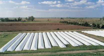 Agricultura
