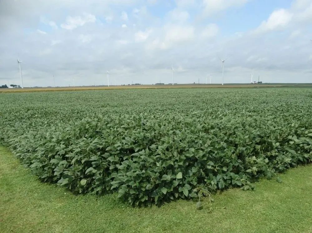 Los inmuebles rurales mantendrán su aforo, según Catastro