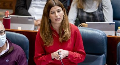 La diputada de Más Madrid en Parlamento madrileño, Loreto Arenillas