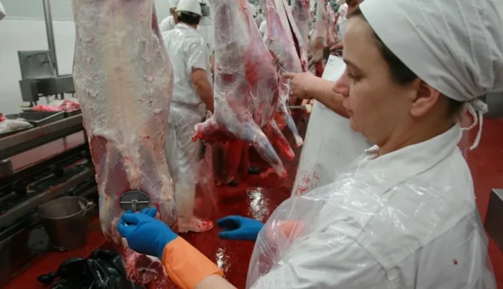 La faena tuvo un leve repunte, pero fue baja