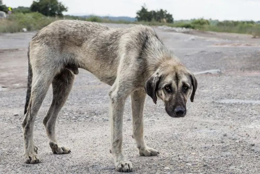 Imagen de WhatsApp 2024-07-01 a las 21.28.40_fca7223e.jpg