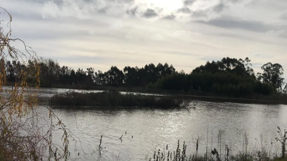 Creció la reserva de agua.