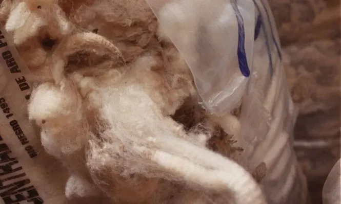 Las lanas más finas impulsan el mercado local e internacional