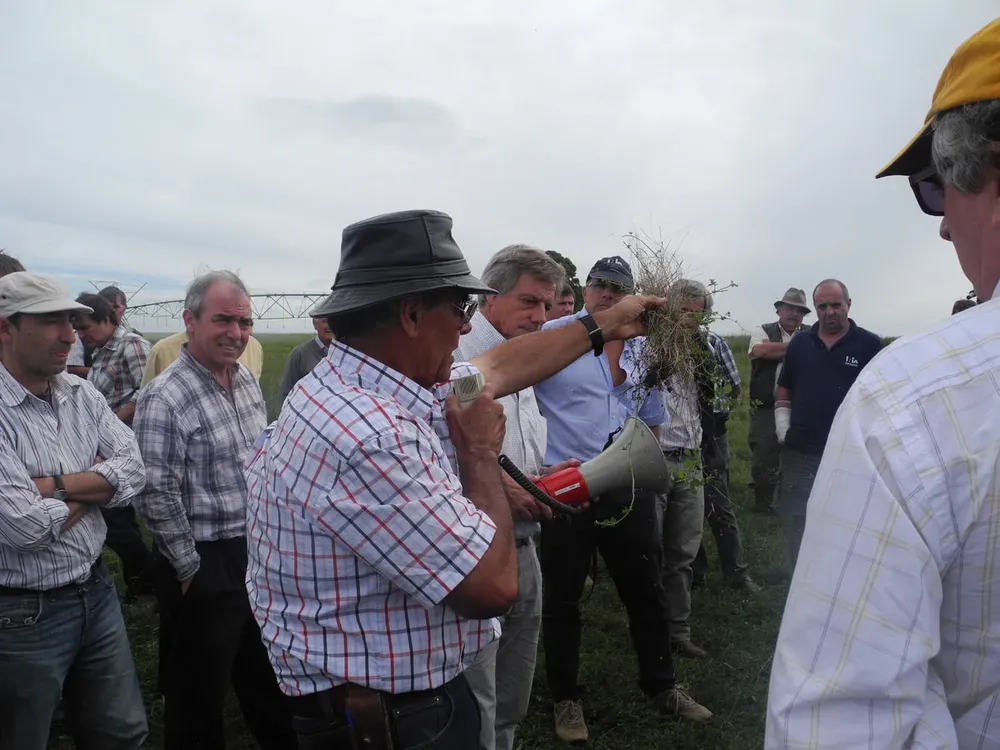 En Cerro Colorado se mostraron pasturas bajo riego