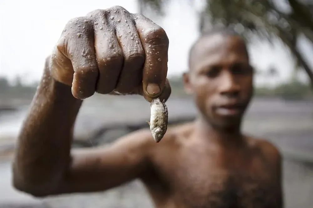 Nigeria- Un pescador muestra un pez afectado por la contaminación de petróleo en Goi