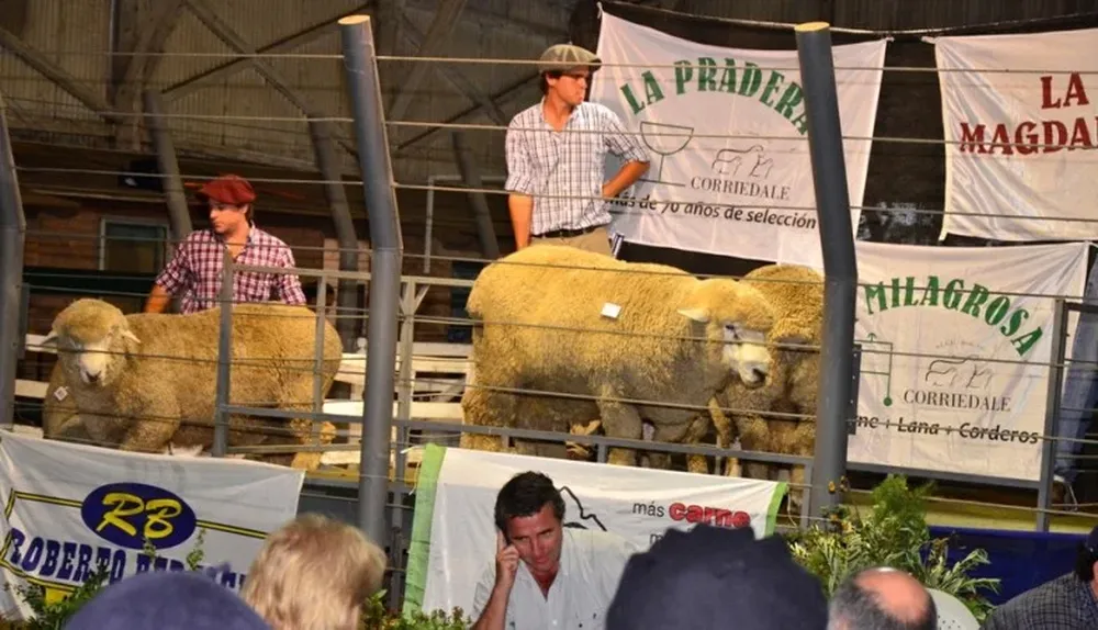 Remate de La Magdalena, La Pradera y La Milagrosa