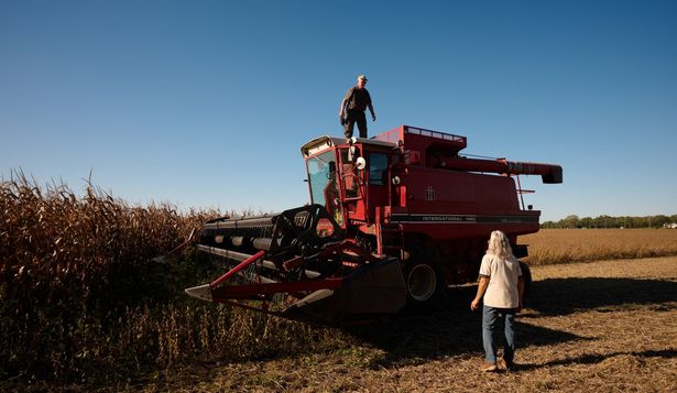 Agricultores en EEUU con dificultades: en la foto, David Schacht, de 69 años, utiliza una cosechadora combinada para recoger soja en su granja de Canal Winchester, Ohio.