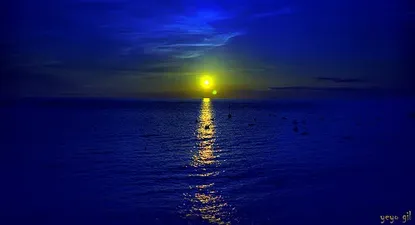 El Observador | 0003940255.webp