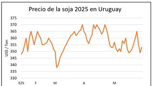 Mercado de granos, Blasina y Asociados.