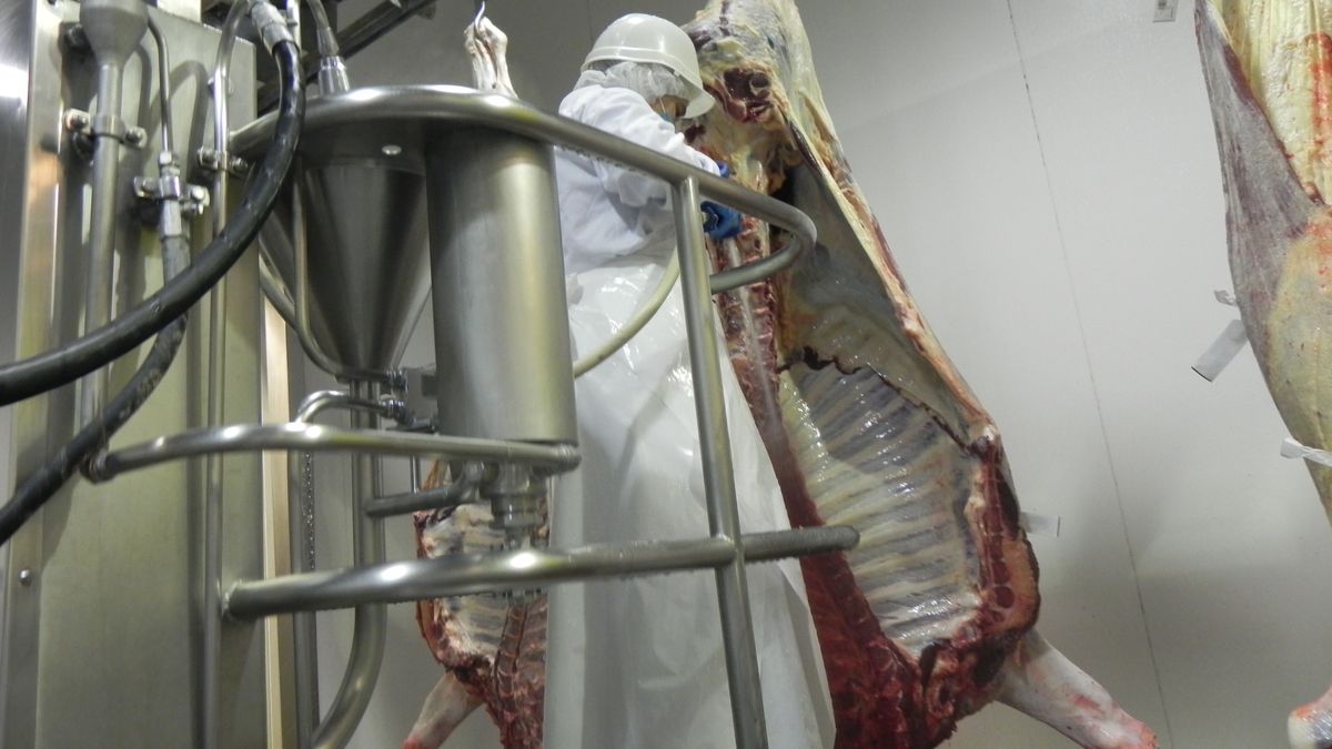 Exportaciones de carnes crecieron 22,5% y se aproximan a los US$ 1.500 millones aún en el primer semestre