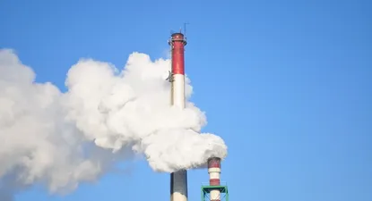 El Observador | 1668097617635.webp