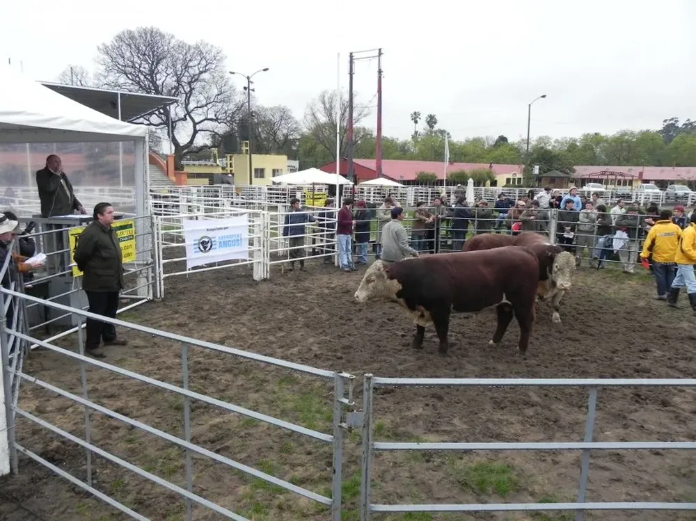 El remate de Los Novilleros fue el que obtuvo el promedio más alto hasta el momento