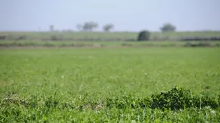 Precio de la tierra creció 12% en 2014 pero agentes auguran baja