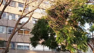 Agencia de Vivienda rematará seis inmuebles en Montevideo