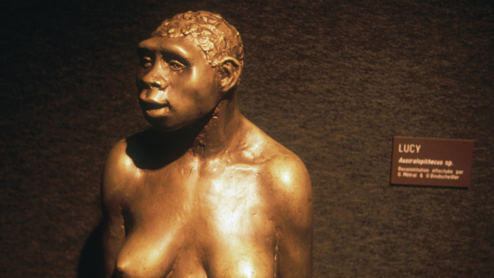 El fósil hallado en 1974 recibió el nombre de Lucy por la canción "Lucy in the Sky with Diamonds", de los Beatles.