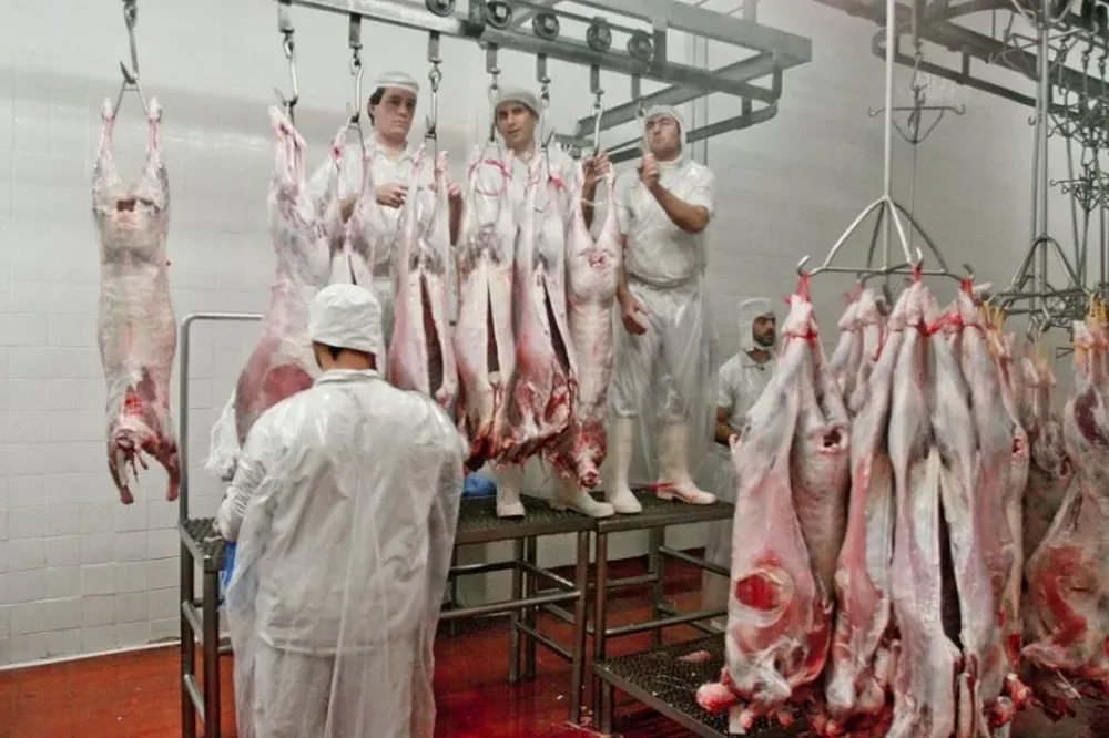 El volumen de carne ovina exportada a octubre cayó a la mitad