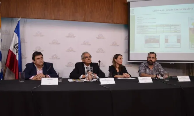 Pedro Soust, Enzo Benech, Amalia Álvarez y Facundo Souza.